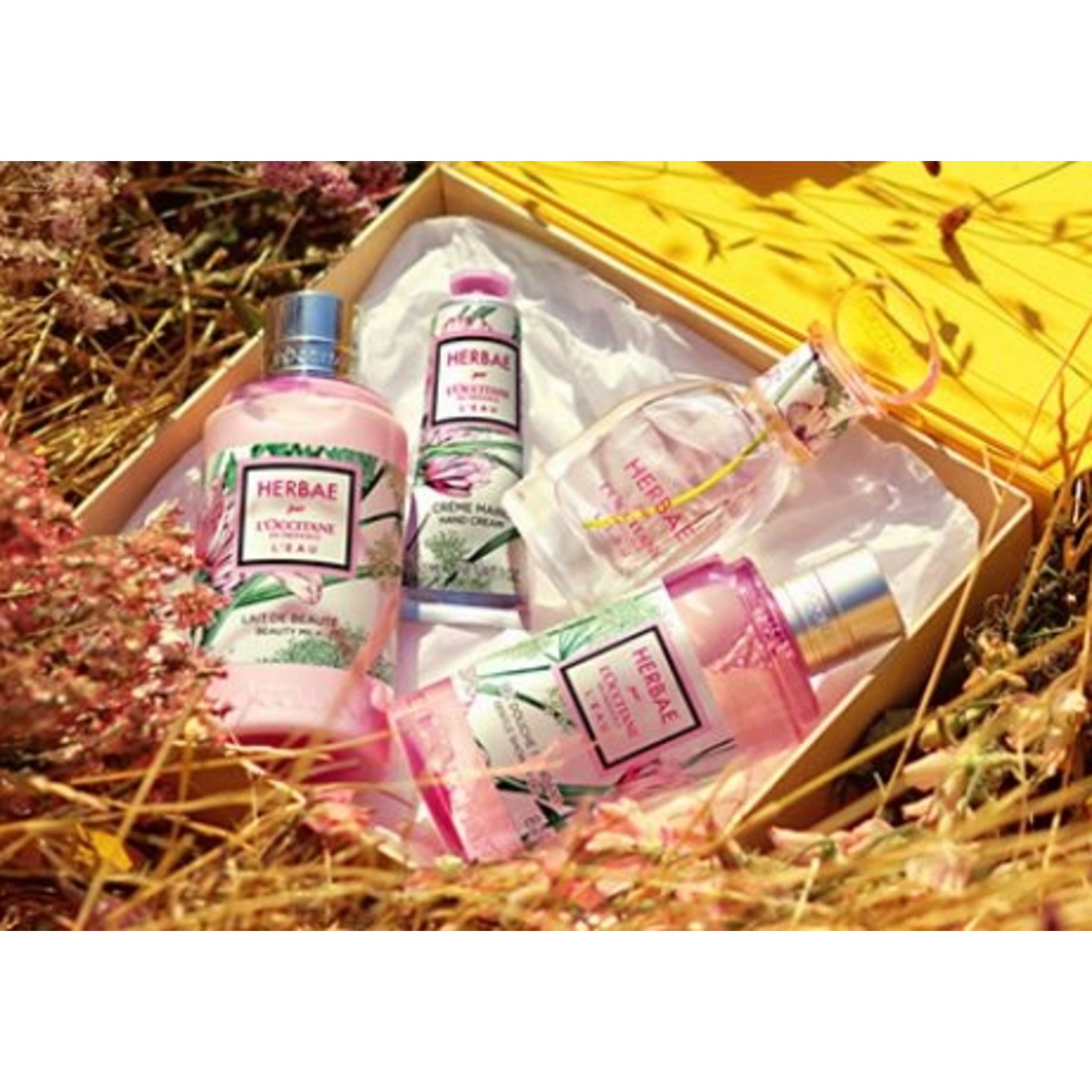 SKU_29JJNQE_2Z4UJTE_4