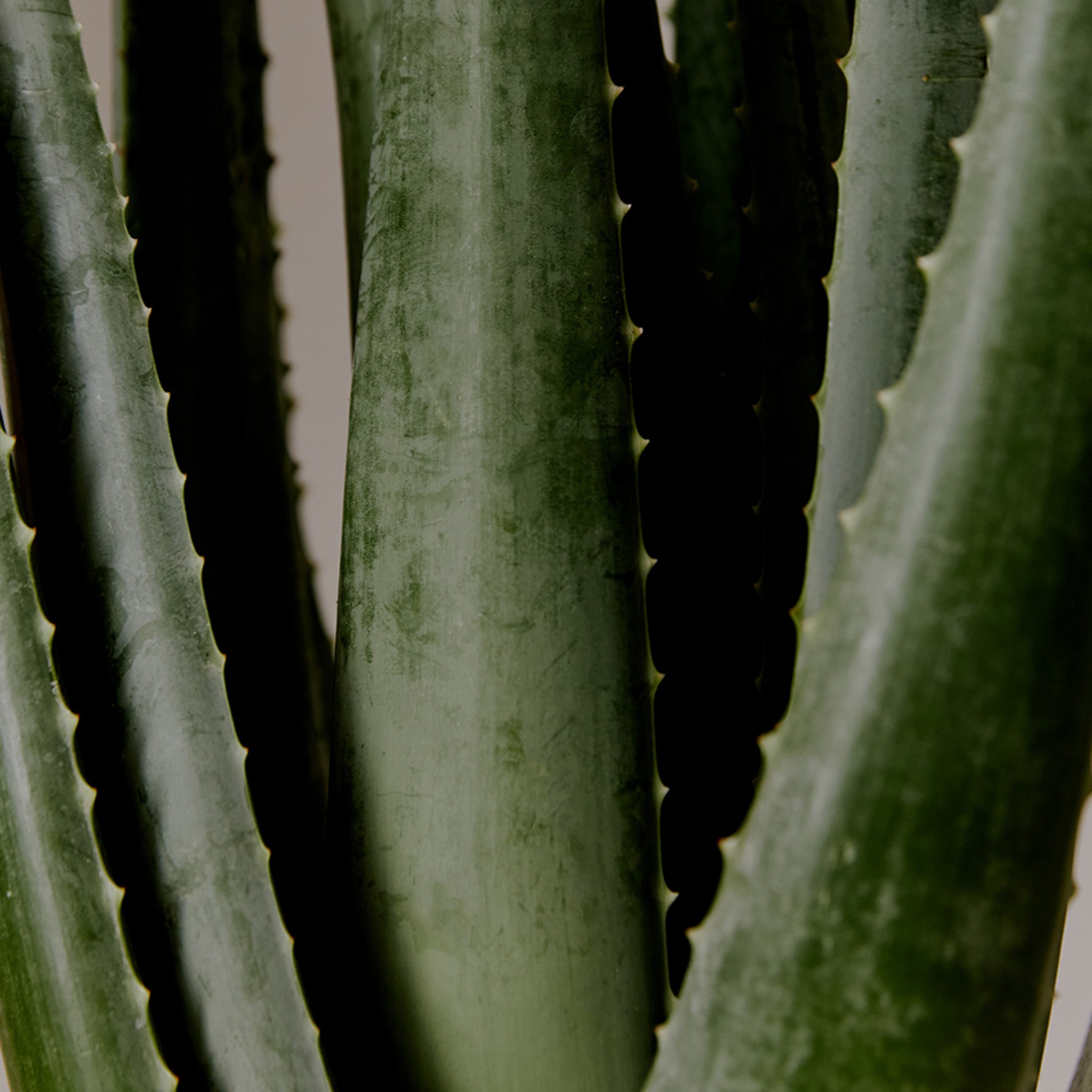 SKU_31WAXKH_32XRZSW_5